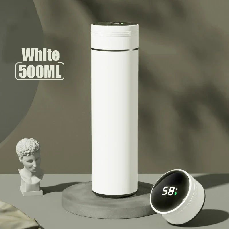 Smart LED Temperature Display Water Bottle